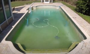 How To Drain A Swimming Pool: should be done periodically