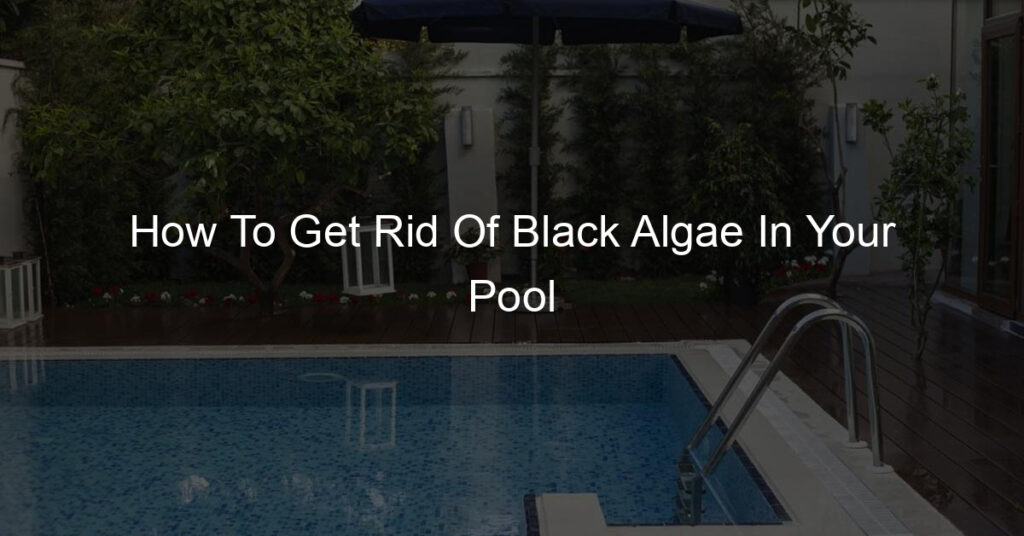 How To Get Rid Of Black Algae In Your Pool: Regular brushing, proper filtration, and a consistent chlorine level can all help to prevent black algae growth.