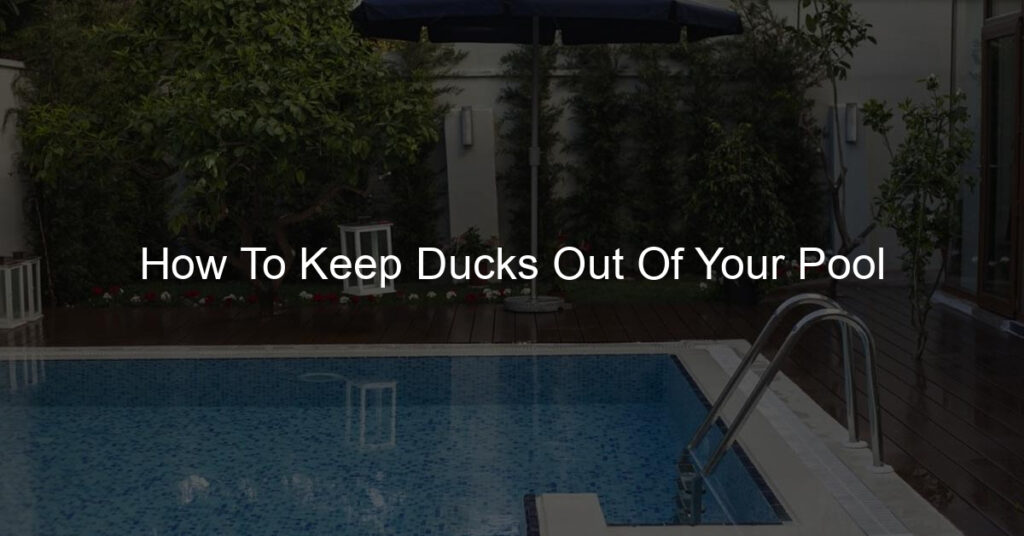 How To Keep Ducks Out Of Your Pool: try installing fencing or netting around the pool area to prevent ducks from getting close to the water